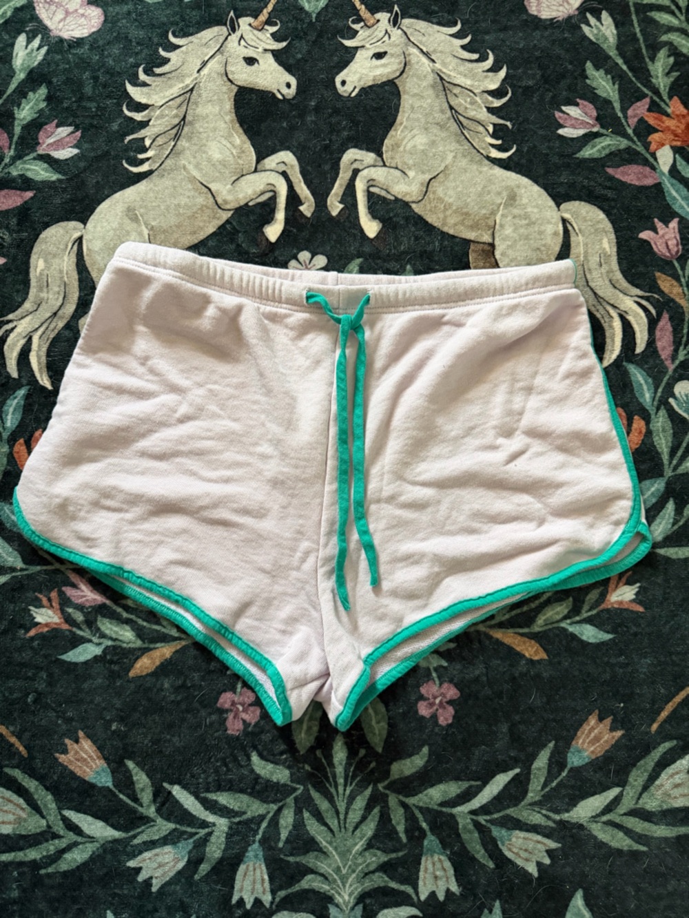 Wildfox Retro Terry Shorts in Light Pink with Teal Trim